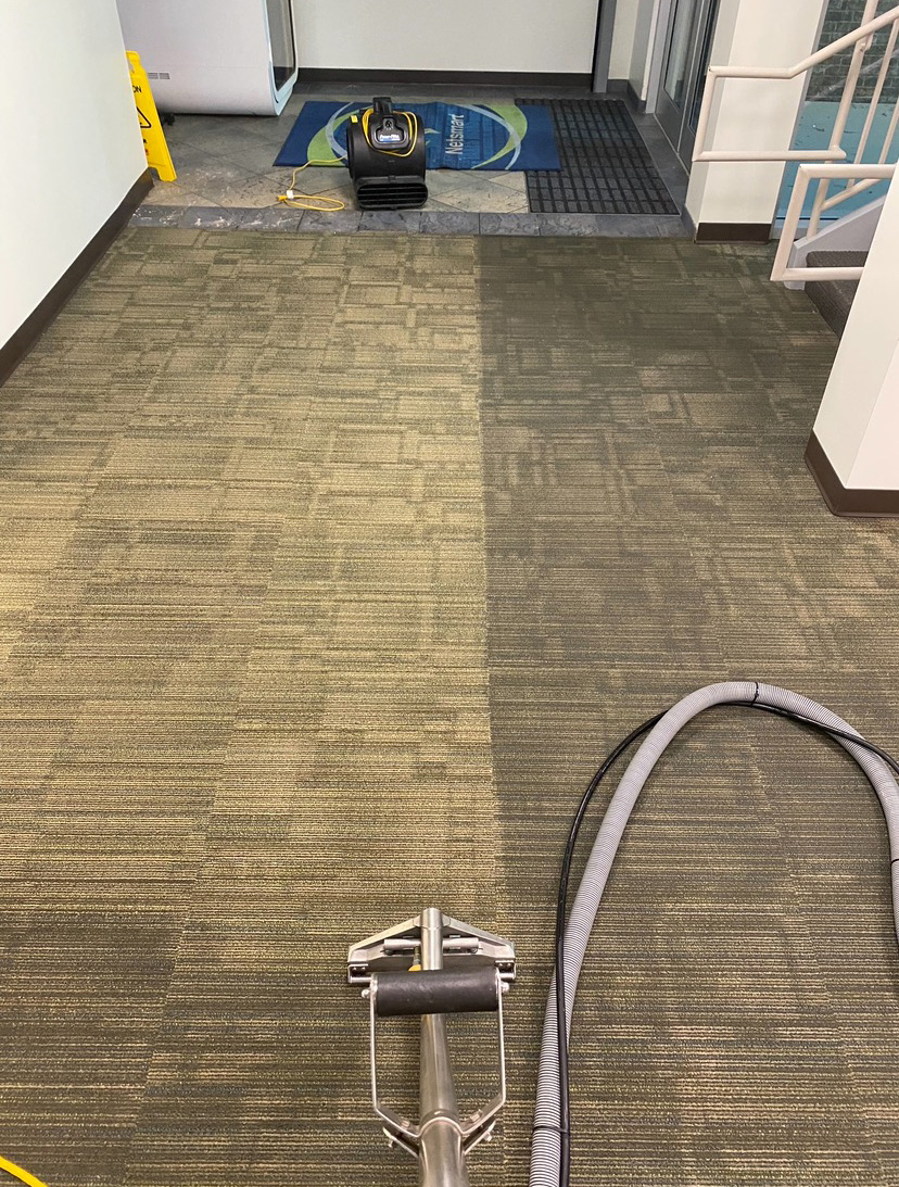 MOH-Carpet-Cleaning